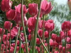 -上海滨江森林公园