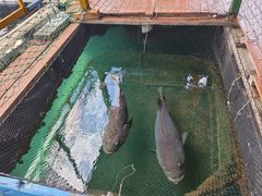 -蓝湾碧波·老字号·疍家非遗海上餐厅
