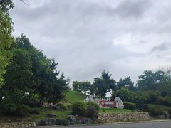 -扬子江公园