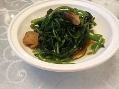 -锦江饭店锦北楼-锦江厅