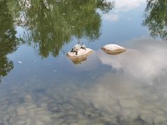 -新虹桥中心花园