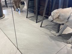 -seeu coffee(江滩店)