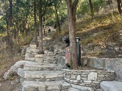 -佛慧山