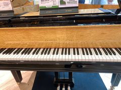 -柏斯音乐(北京荟聚购物中心)