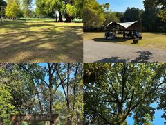 -南宁良凤江国家森林公园