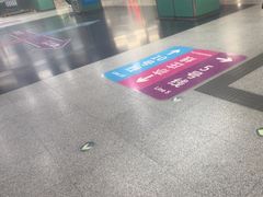 -宋家庄(地铁站)