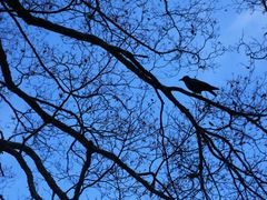 -星巴克(成都机场T2店)