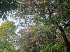 -增城图书馆(荔景大道辅路店)