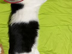 -美迦爱-牙专科·兔科·骨科诊疗中心(北苑店)