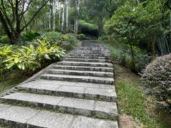 -火炉山森林公园