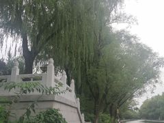 -南长河公园