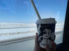 -西琳姑娘·新疆冰淇淋酸奶茶(解放北路店)