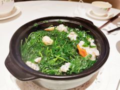 上汤枸杞叶-花城苑广府菜(侨鑫店)