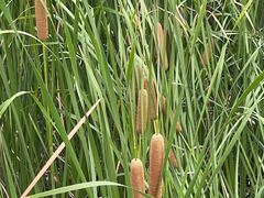 -廊坊文化艺术中心