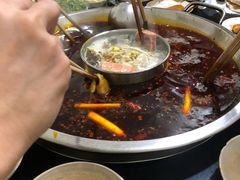 -星鸿社重庆老火锅