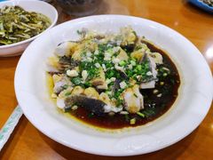 -全乐鱼馆·淳牌有机鱼直营店