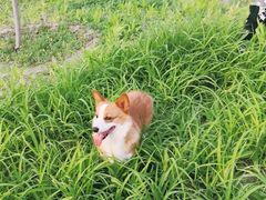 -东郊湿地公园