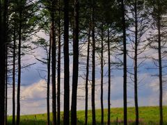 -塞罕坝国家级自然保护区