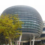 这次展不用门票，坐标原美术馆  作品雨伞的直径是1