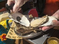 -蚝堡海鲜·威海菜·海肠捞饭·烧烤·亚洲吃蚝公司(幸福门店)