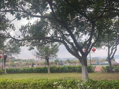 -仙人山公园