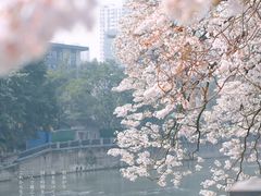-红星桥(地铁站)