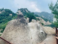 -大岭沟猕猴桃谷风景区