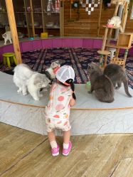 -萌宠亲子动物乐园(槐房万达店)