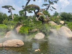 -罗红摄影艺术馆