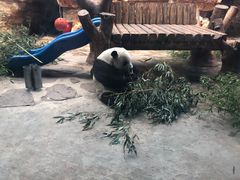 -石家庄市动物园