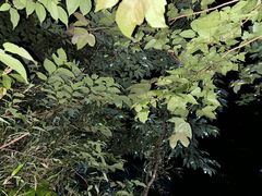 -萍乡武功山风景名胜区