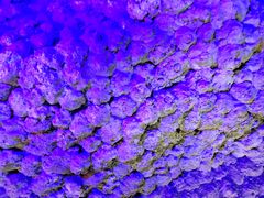 -寻龙山风景旅游区