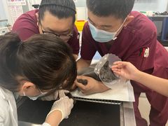 -纳吉亚猫专科动物诊疗中心(蒋宅口分院)