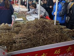 -宁波国际会展中心