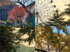 -烟台海昌鲸鲨海洋公园