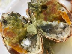 -海晖酒楼·顺德鱼生(荣华店)