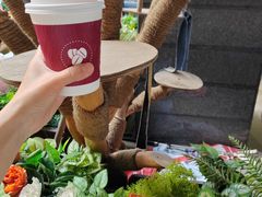 -COSTA COFFEE(上海五玠坊店)