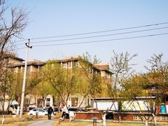 -天津东丽湖风景区