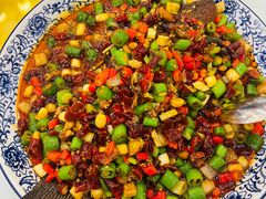 -高坎一品甲鱼庄(两河店)