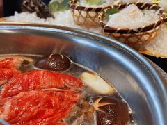 -一绪に寿喜烧(荟聚店)