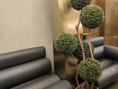 -Hi City·城市之巅