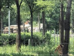 -秦皇岛野生动物园