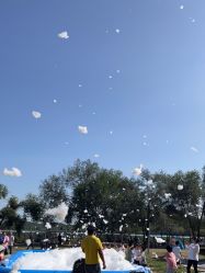 -浅山蜜塘奇妙乐园·亲子营地