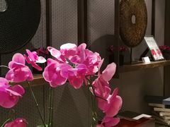 -同庆楼(金宝汇店)