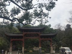 -杭州半山国家森林公园