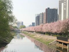 -大望京公园