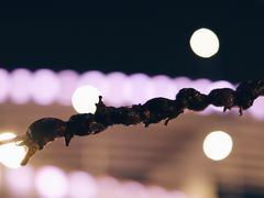 -新疆阿力烧烤