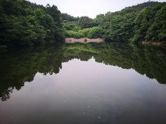 -青龙山国家森林公园