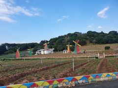 -松山湖梦幻百花洲