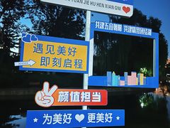 -团结湖公园